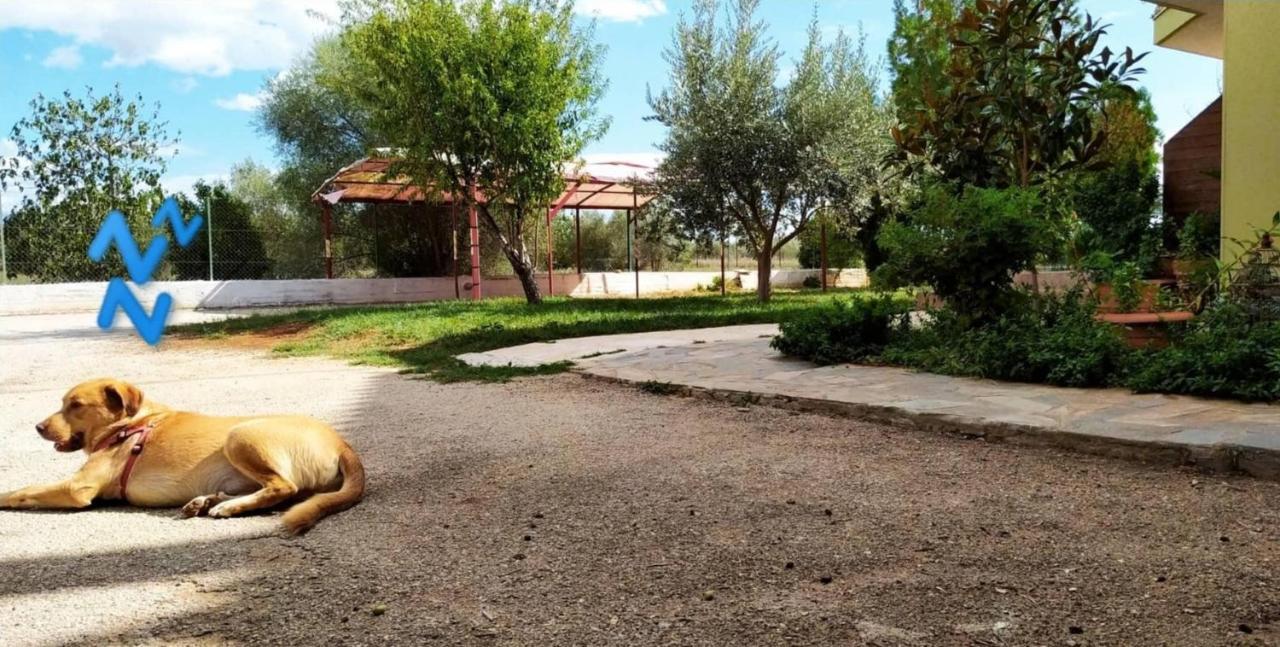 Ktima Anastasia Nafplio Exteriér fotografie