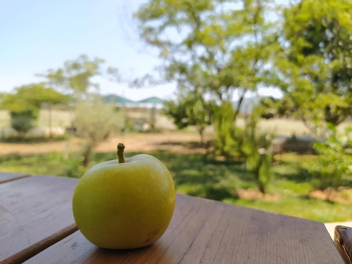 Ktima Anastasia Nafplio Exteriér fotografie