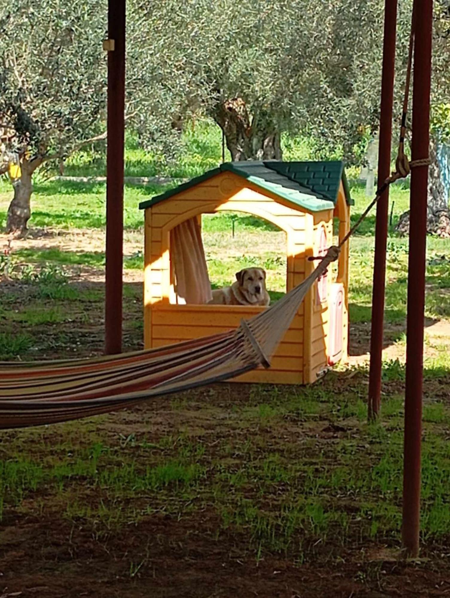 Penzion Ktima Anastasia Nafplio Exteriér fotografie