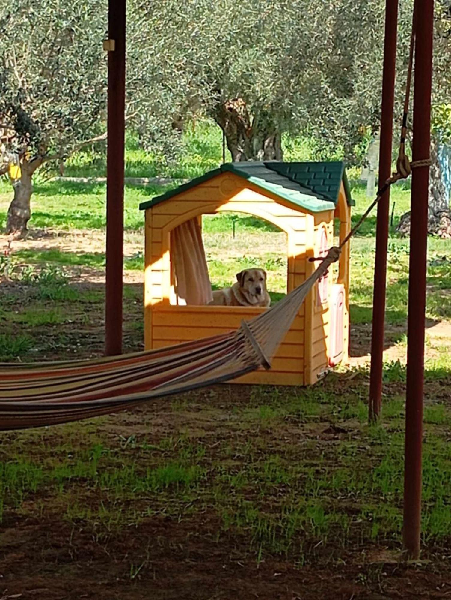 Ktima Anastasia Nafplio Exteriér fotografie