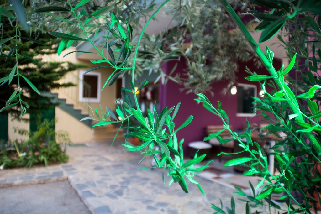 Ktima Anastasia Nafplio Exteriér fotografie