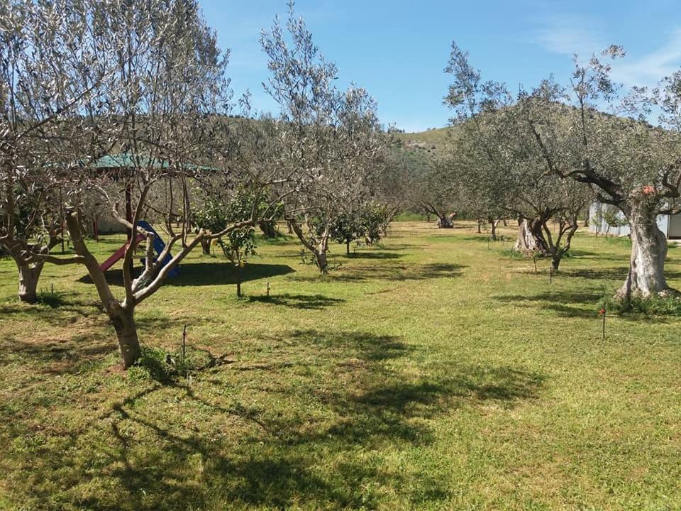 Penzion Ktima Anastasia Nafplio Exteriér fotografie