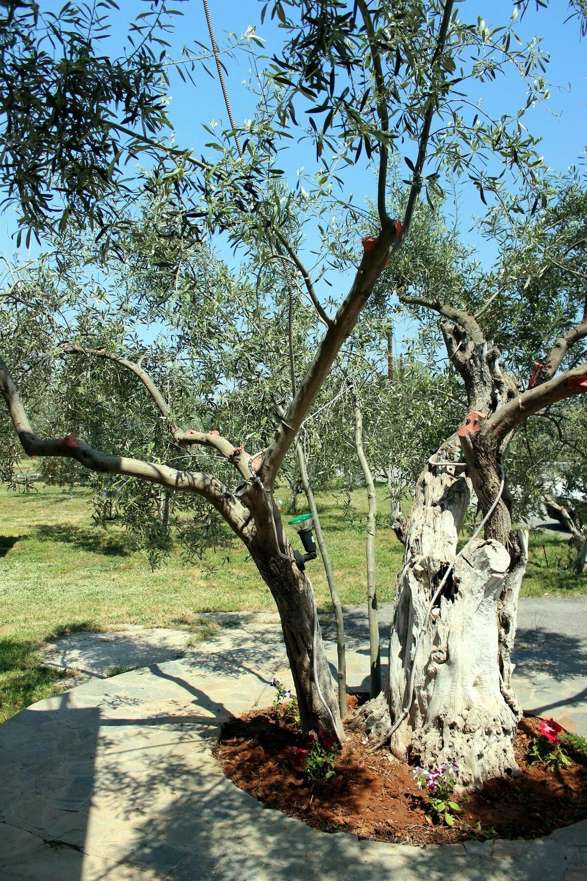 Penzion Ktima Anastasia Nafplio Exteriér fotografie